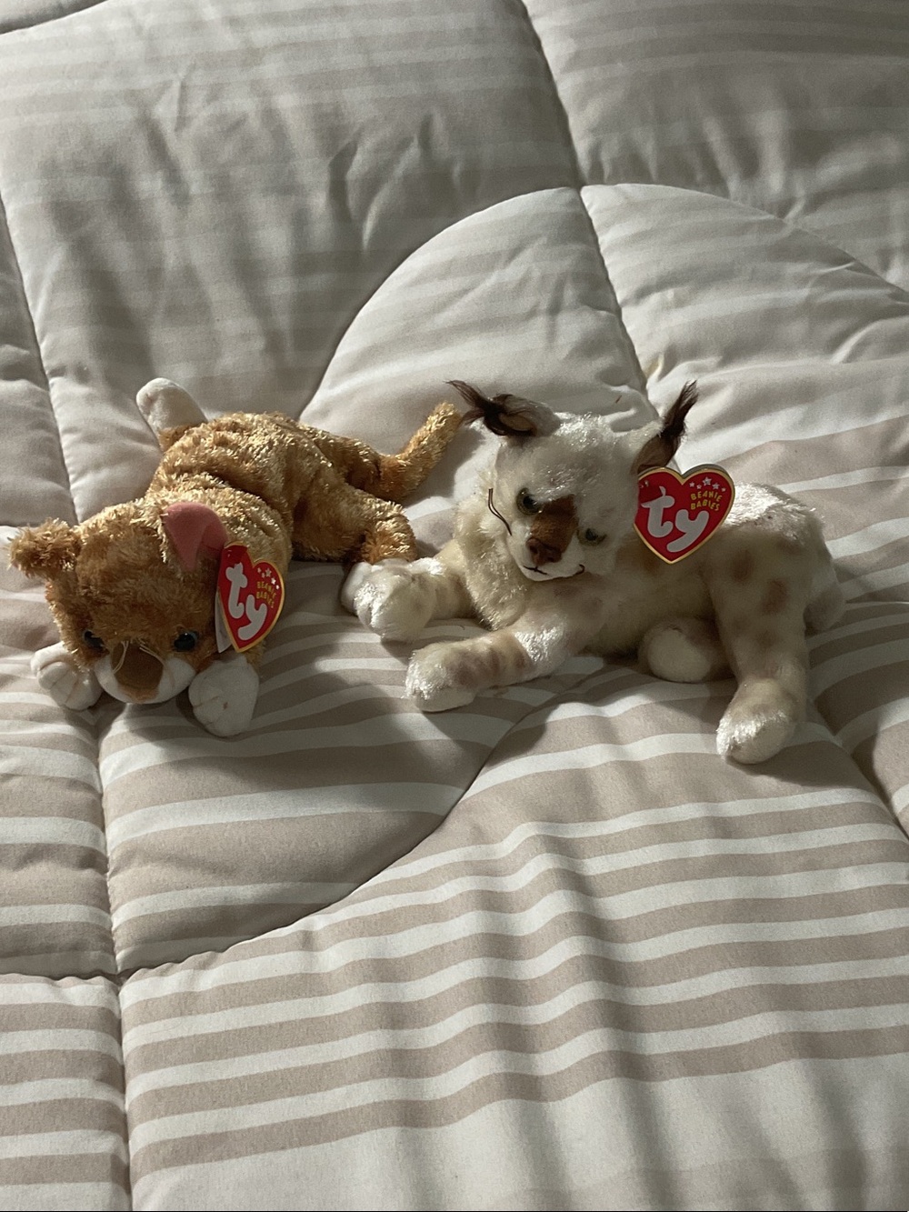 Ty Cream & Light Brown Small Plush Cats Duo 2001